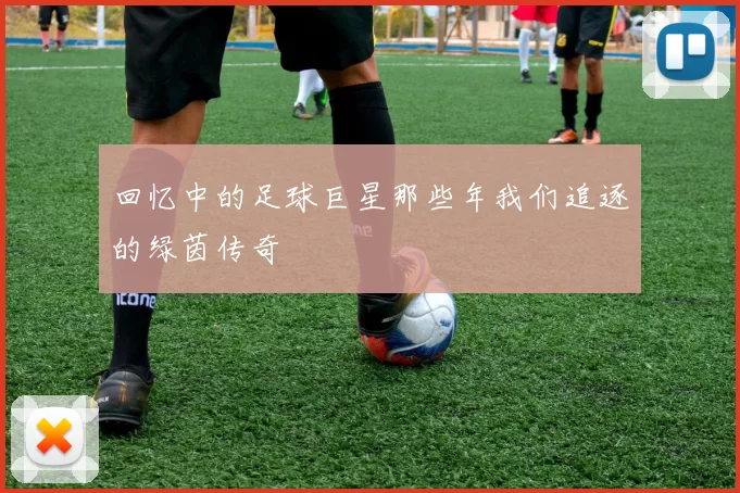 回忆中的足球巨星那些年我们追逐的绿茵传奇