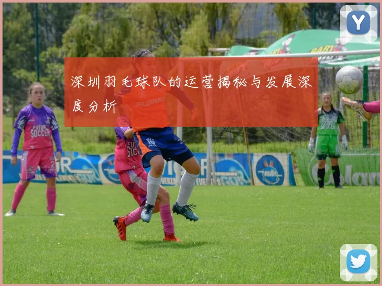 深圳羽毛球队的运营揭秘与发展深度分析