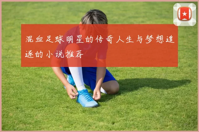 混血足球明星的传奇人生与梦想追逐的小说推荐