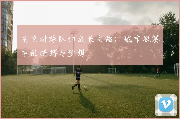 南京排球队的成长之路：城市联赛中的拼搏与梦想