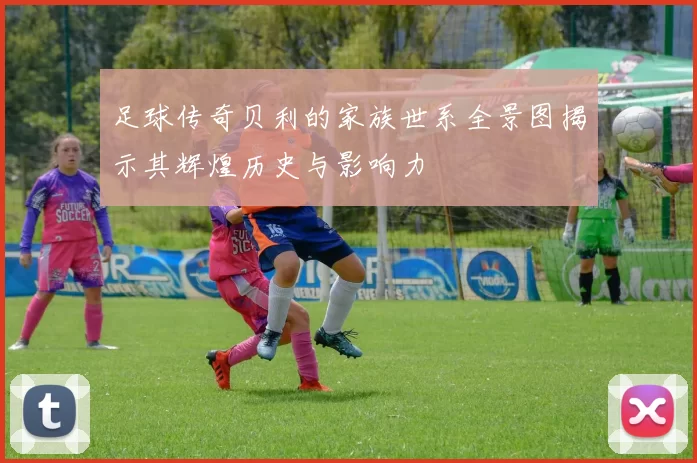 足球传奇贝利的家族世系全景图揭示其辉煌历史与影响力