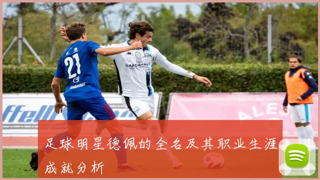 足球明星德佩的全名及其职业生涯成就分析